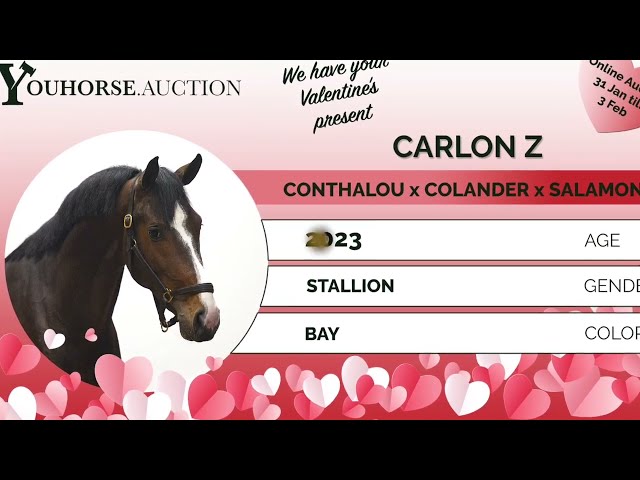 Carlon Z loose jumping