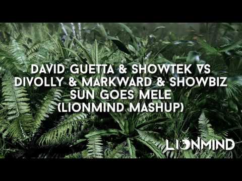 David Guetta & Showtek Vs  Divolly & Markward & Showbiz - Sun goes mele (Lionmind Mashup)