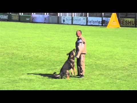 WUSV 2012 Protection routines.f4v