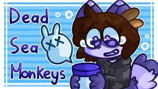 DEAD SEA MONKEYS MEME [original meme] [flash warning]