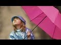 ♥♥♥  Rhythm Of The Rain - Dan Fogelberg (lyrics) ♥♥♥