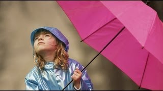 ♥♥♥  Rhythm Of The Rain - Dan Fogelberg (lyrics) ♥♥♥