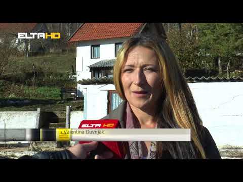 BL HRONIKA 07 11 17   PRICA O VALENTINI DUVNJAK