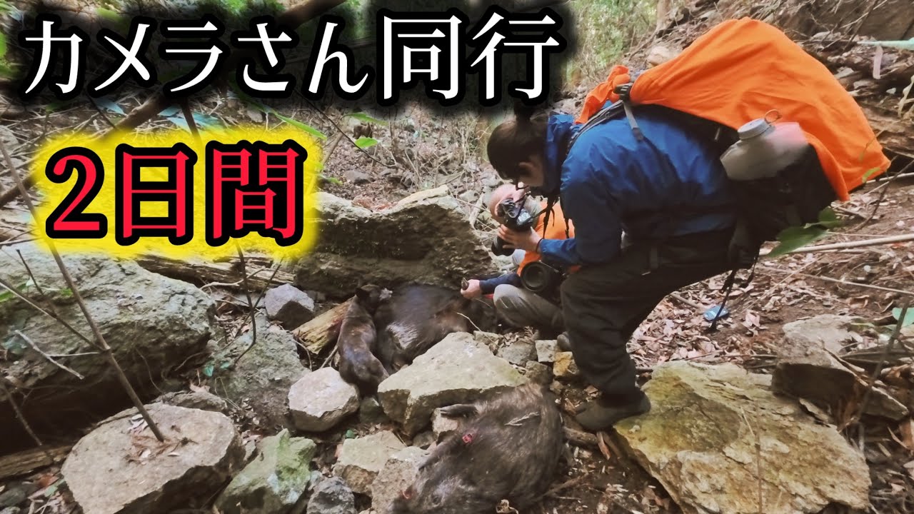 #52   「過酷なイノシシ猟」