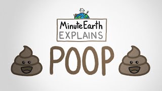 💩💩💩
