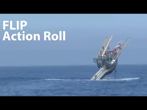 FLIP Action Roll