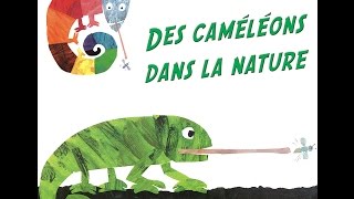 Doc caméléon