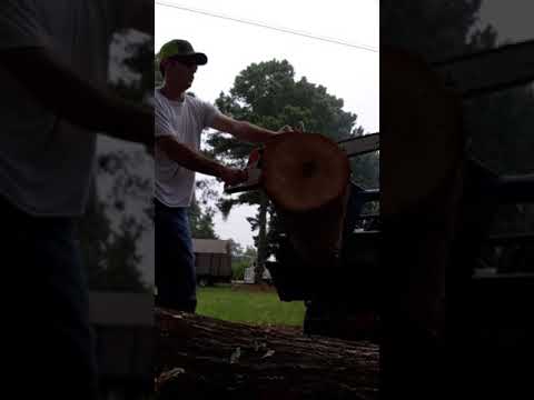 Stihl 038 magnum 72cc vs Husqvarna 272xp 72cc