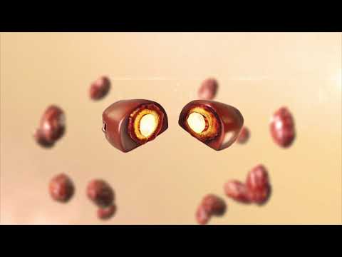 Chocodate Explainer Video