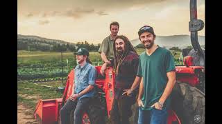 Kitchen Dwellers &quot;Don&#39;t Do It&quot; (Band Cover)