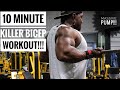 10 MINUTES BICEP WORKOUT