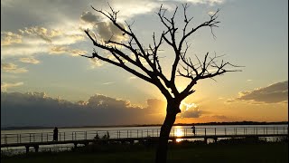 Interstate - Neil Young