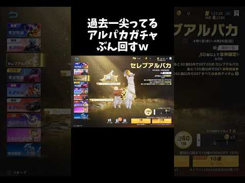 過去一尖りすぎてるセレブアルパカガチャｗｗ【#荒野行動】# Knives Out 　#荒野新生活応援 #アプデ