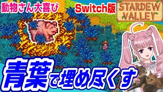 【Stardew Valley】☆5「青葉で埋め尽くす」【Switch版】