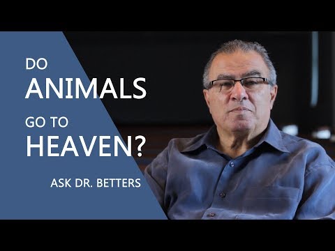 Do animals go to heaven?