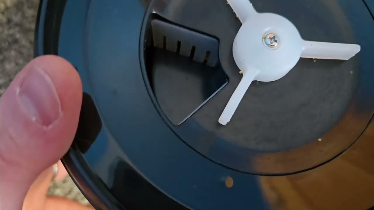 How to Use the Miaosical Automatic Cat Feeder