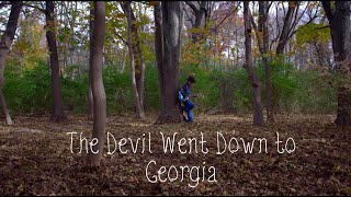 The Devil Went Down to Georgia