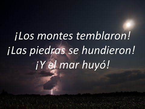 Ha Exhibido video