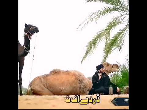 duniya daadi asi a maray dardye uff naa krday new Naat 2021