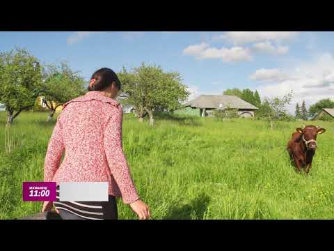 Maršrutas nr. 134 – Dubingiai / ANONSAS