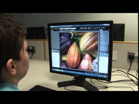 Whizzkids Summer Camps Ireland