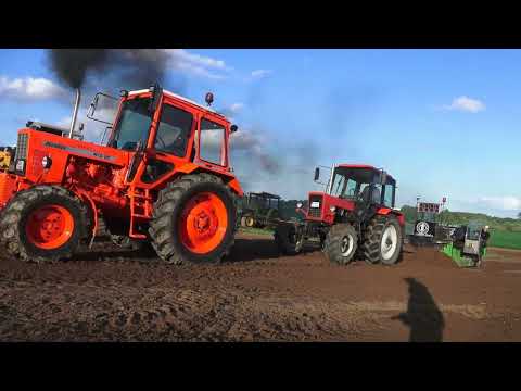 Bestenrade Trecker Treck 2022 Belarus 40/30 Pull