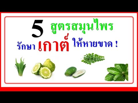 การรักษาโรคสะเก็ดเงินเท่าผิว หญ้าเจ้าชู้กับโรคสะเก็ดเงิน