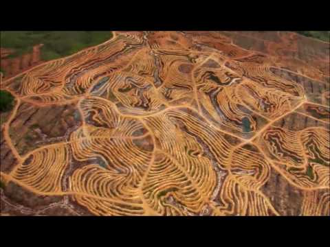 Mos u hidhëro   Nga realiteti bashkohor 14