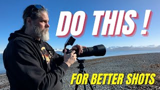 Improve Your Bird Photography Today - Easy Tip for Stunning Shots!