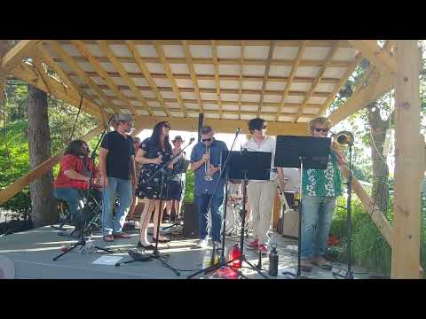 The Deeptones at Local Roots July 2022