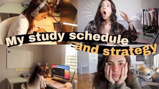 Boards Studying Daily Routine -  My PANCE Study Schedule and Strategy (a boring month in my life)