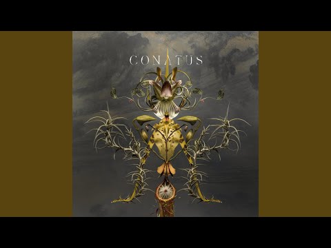 download lagu mp3 mp4 Joep Beving Conatus, download lagu Joep Beving Conatus gratis, unduh video klip Joep Beving Conatus