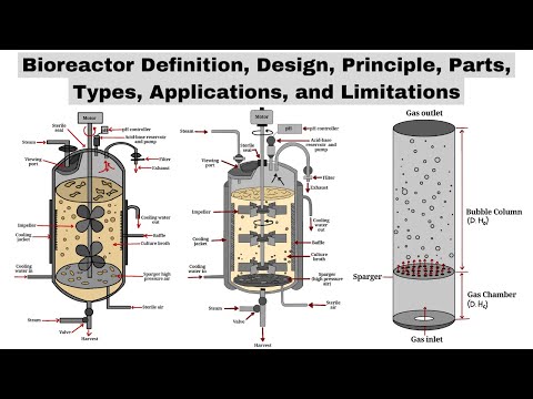 Bioreactors | Design, Principle, Parts, Types, Applications, & Limitations | Biotechnology Courses