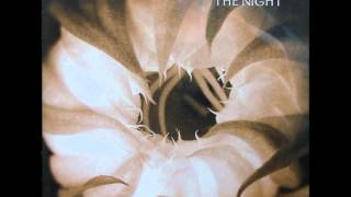 Morphine &#39;The Night&#39; (2000) in Full