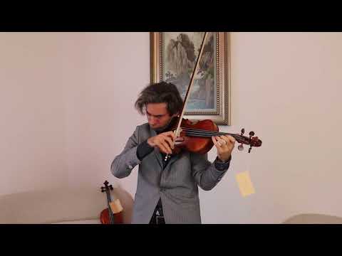 Romanian Violin 4/4 Hand-made by Traian Sima 2021 #153 image 11