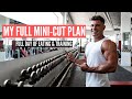 10 Day Fat Loss Plan (Pre Ibiza Mini-Cut)