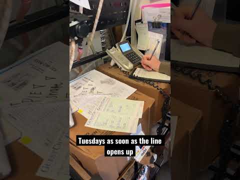 How many orders does this small pizza shop take in a row?!