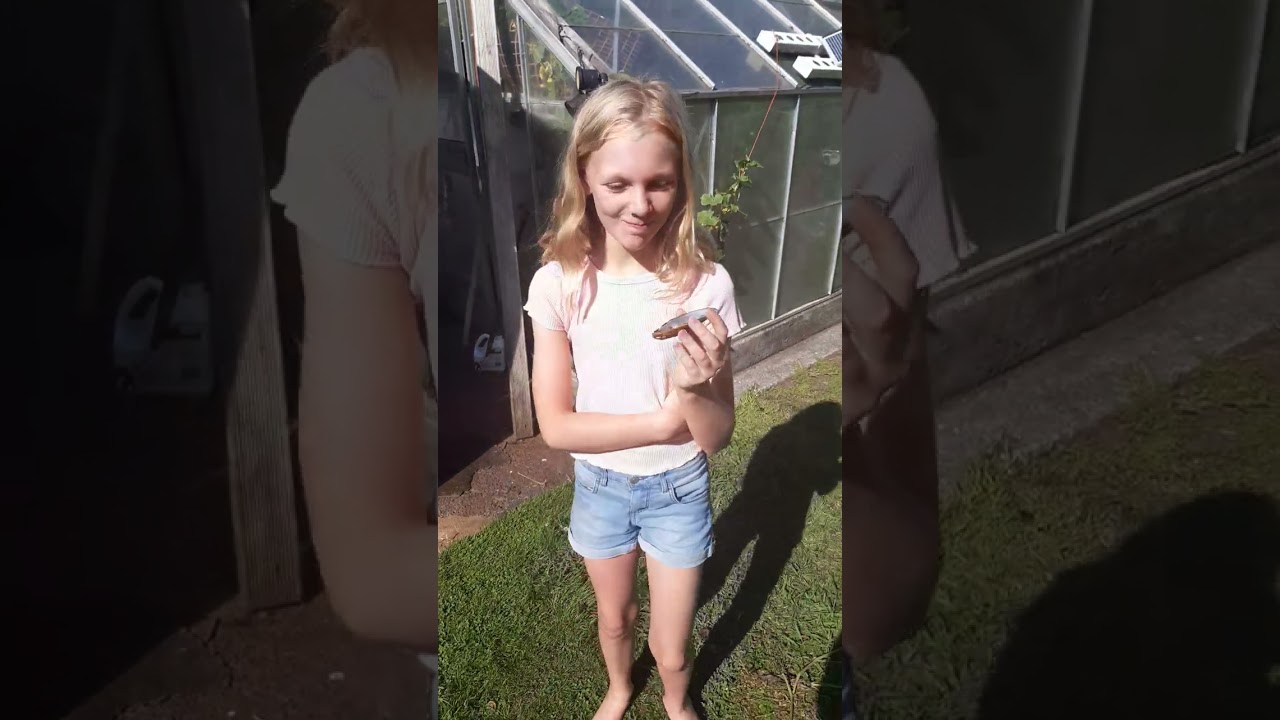 Sophie eating her first raw green lipped mussel, will she be sick.