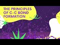 The Principle Of C C Bond Formation