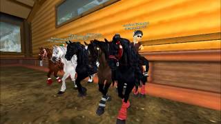 Star Stable online-Andalusier/Friesen Tag