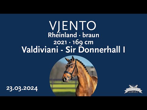 Vjento Hengst v. Valdiviani - Sir Donnerhall I