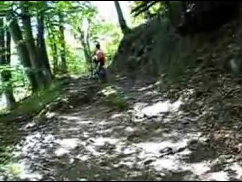 mtb cozia 2013 run & bike