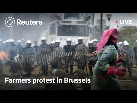 LIVE: European farmers hold large-scale protest in Brussels