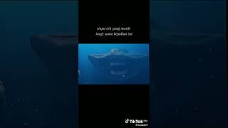 Download lagu ikan nabi Yunus berantem sama ikan gigi tajam 😱😱 mp3 Download lagu ikan nabi Yunus berantem sama ikan gigi tajam 😱😱 mp3