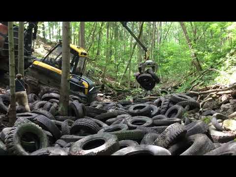 Schorba, im Wald mit der Reifen Enternung bei der alten A4 Autobahn am 03.07.2020