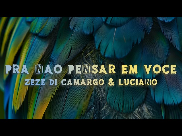 Zezé Di Camargo & Luciano – Pra Não Pensar Em Você (Lyrics/Letra)