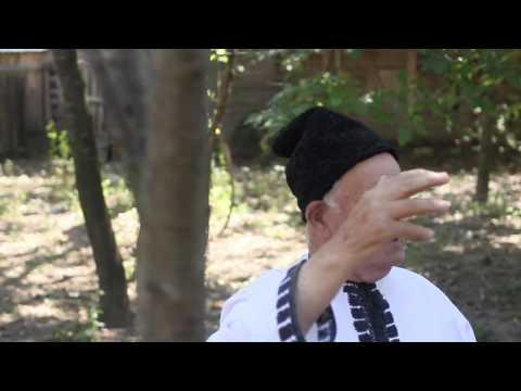 Dealurile din Bistra