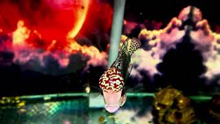 Redkamfa 2 ngón  siêu #cute #giá công khai 1triệu200k Sđt Zalo 0938882816