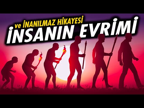 İnsanın Evrimi