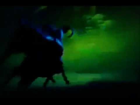 Bambi vs  Ronno~ Actual Fight Scene2